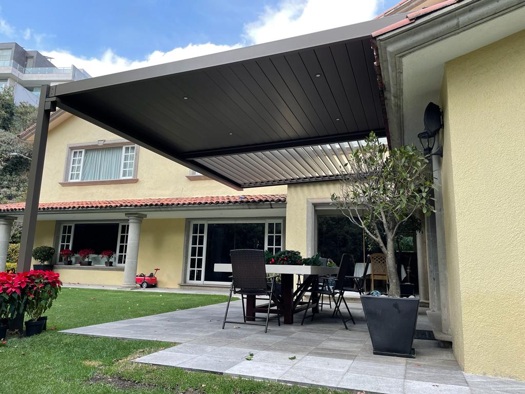 Copia-de-Olivos-22025013005