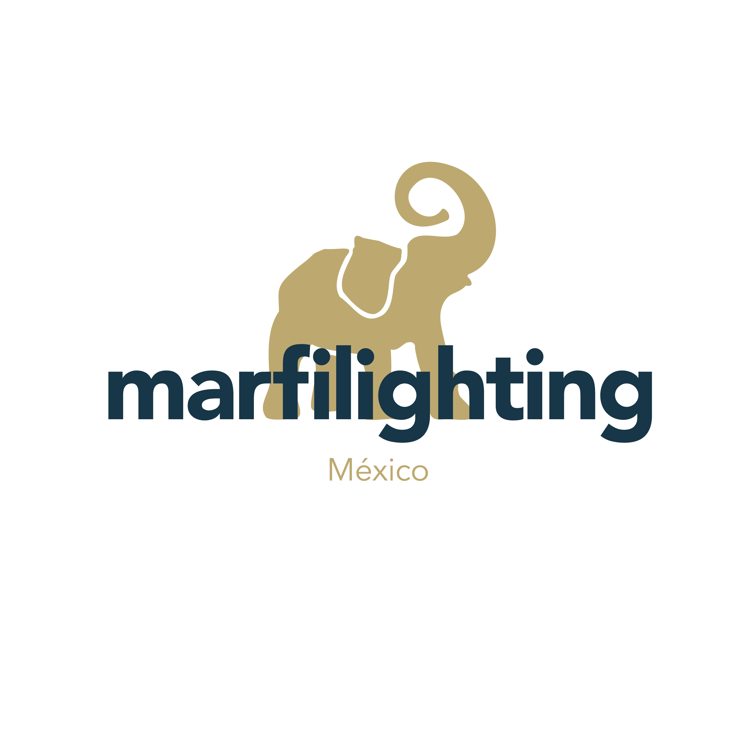 Marfil Lighting