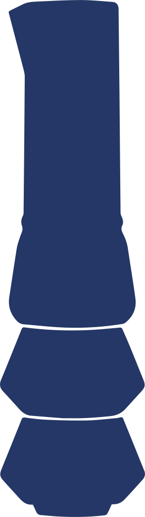 Logo-Chukul2025031709