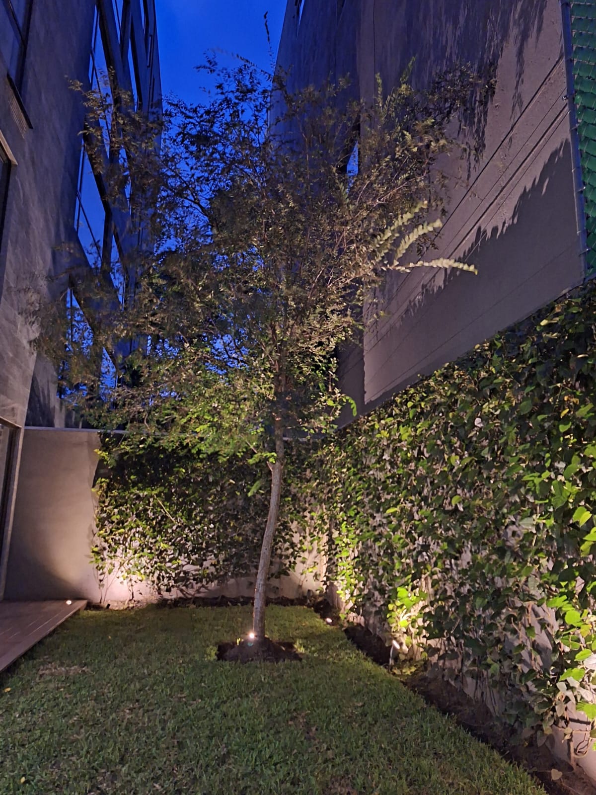 avenue-jardin2025040707