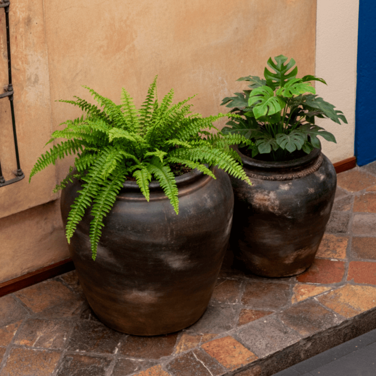 Bonampak2026021606-1