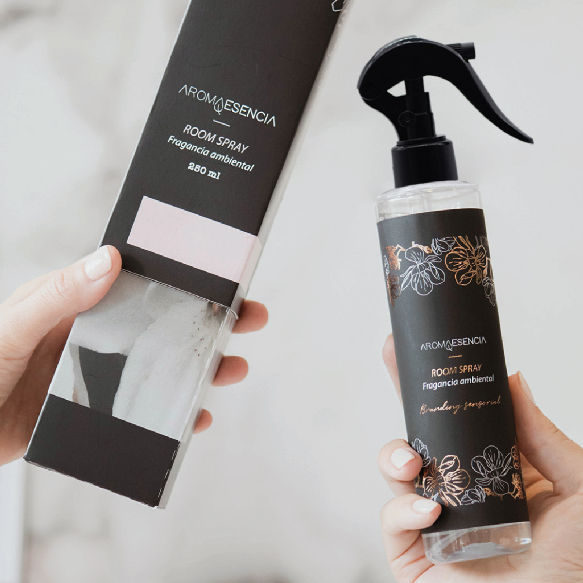 Expo-Habitat-072026012212