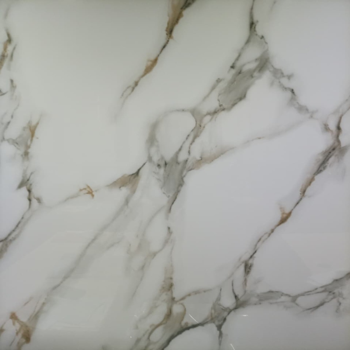 Hoja-PVC-TIPO-MARMOL2026031409