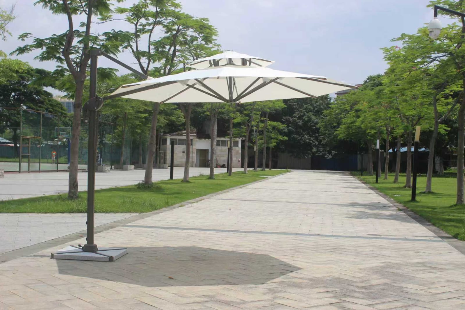 WhatsApp-Image-2025-08-11-at-12.22.27-PM2025112702