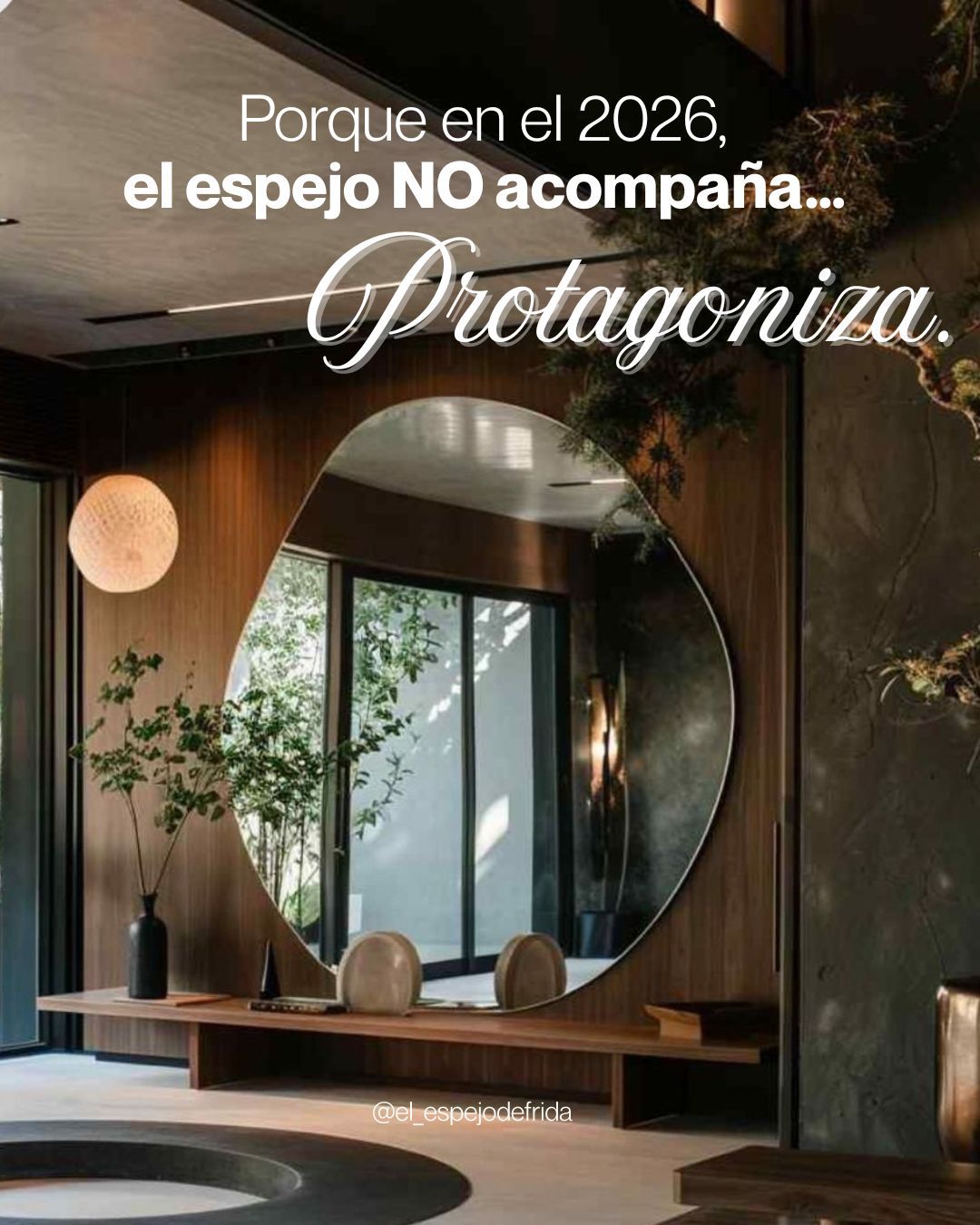 WhatsApp-Image-2026-02-10-at-3.07.01-PMh2026032612