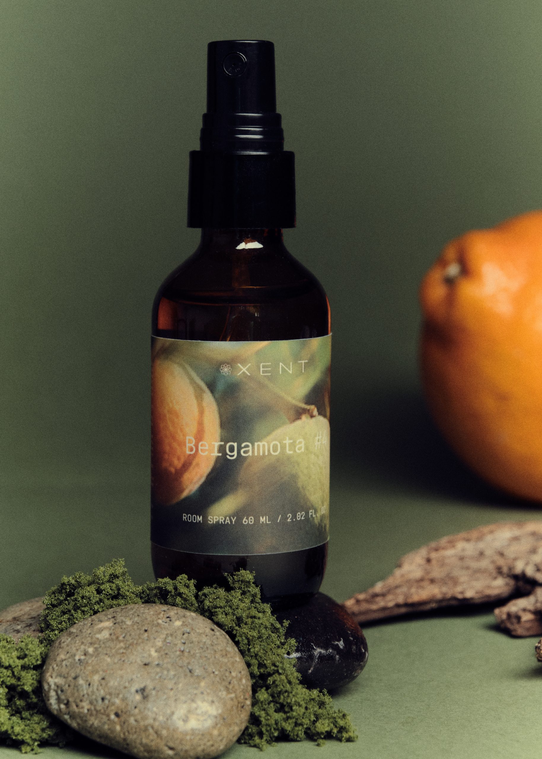 XENT-oct25_-02026030909