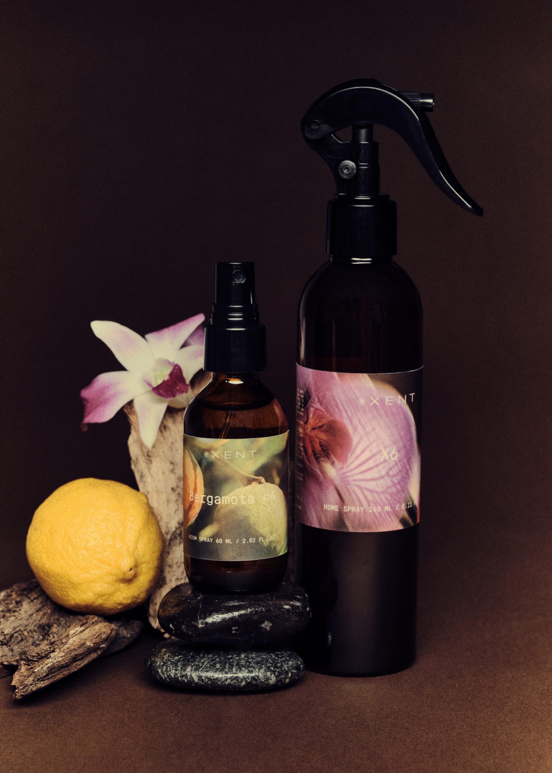 XENT-oct25_-482026030909